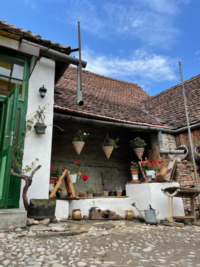Saschiz 175 Guesthouse Exteriör bild
