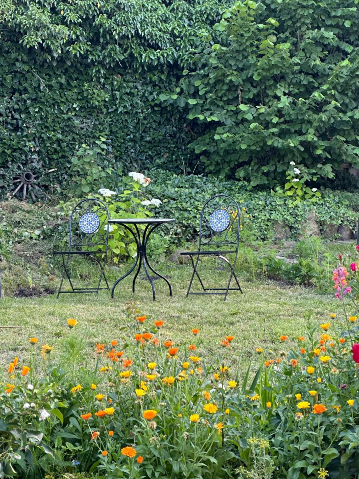Saschiz 175 Guesthouse Exteriör bild